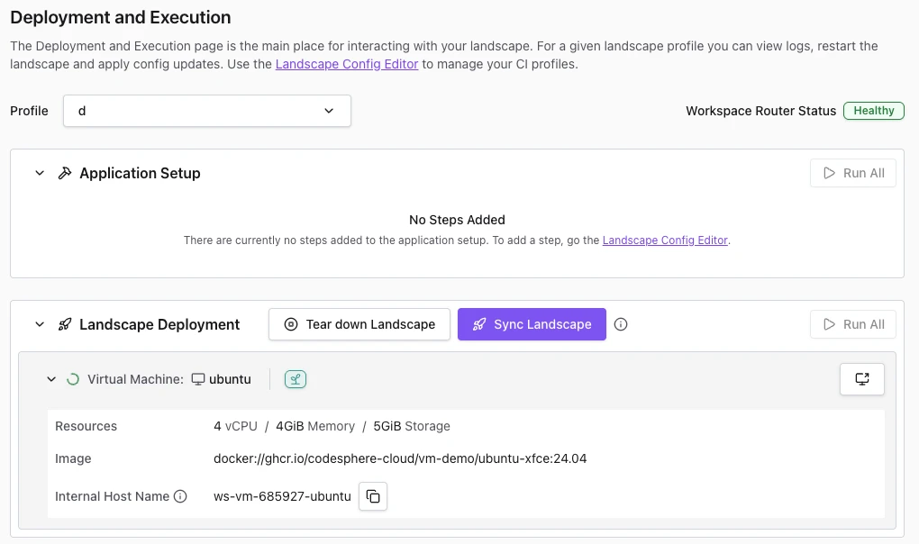 Execution view showing the deployed Virtual Machine