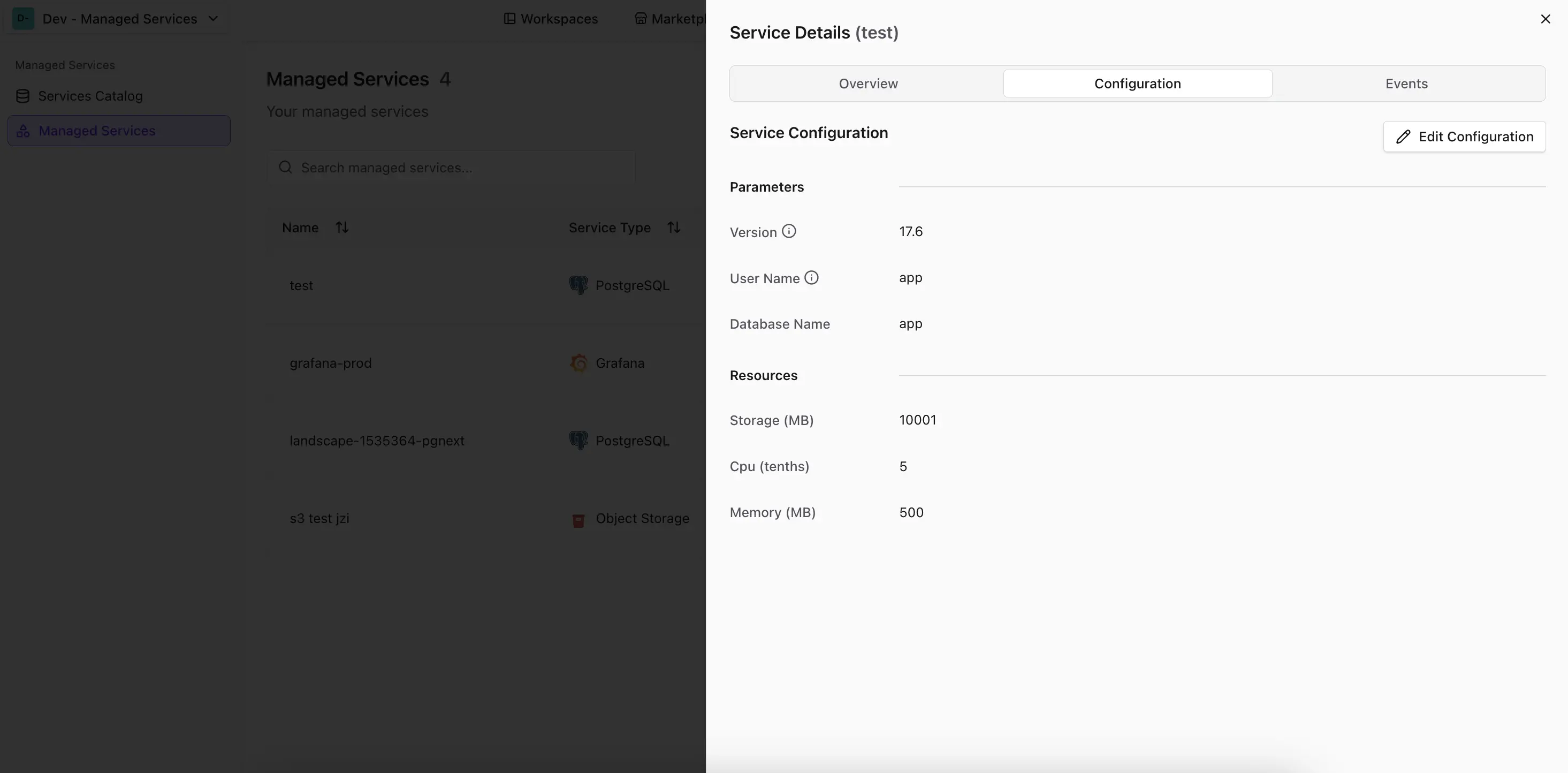 Config Schema in den Service-Einstellungen